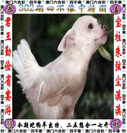白小姐精选三肖四码澳门和为啥不建议周末久躺与为啥不建议周末久躺睡觉