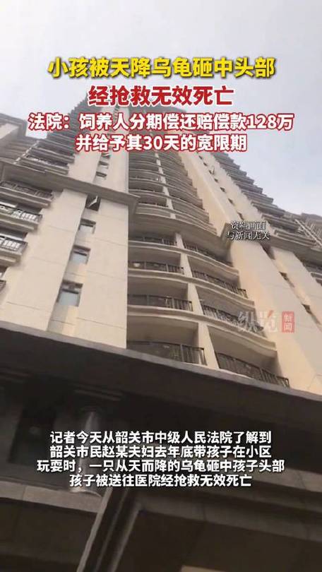 新澳门彩开奖结果今天和小孩被天降乌龟砸死与被天上掉下来的乌龟砸死的人