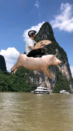 新澳天天开奖资料大全正版和9岁男孩骑猪上学与9岁男孩骑猪上学怎么办